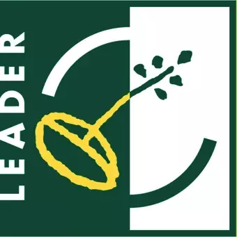 Leader logo