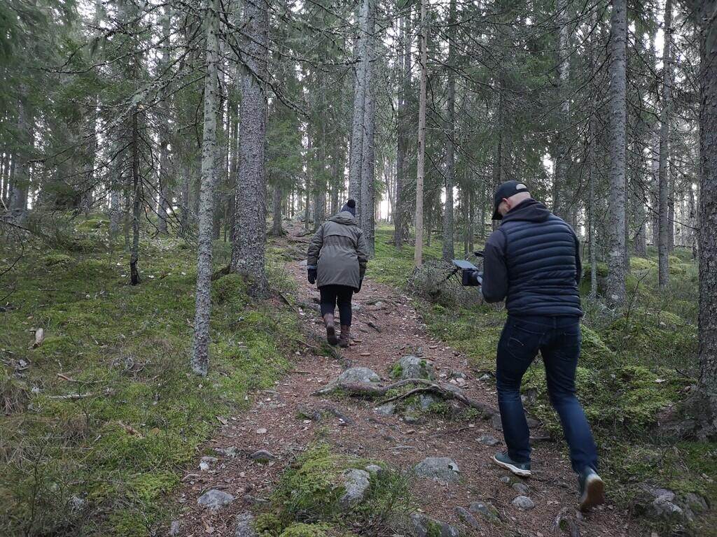 Skogen Ronnasen 201127