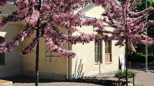 Årsmötet hålls i "Gamla mejeriet" i Hofors den 27 april kl.18.