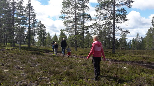 Naturturism & Hållbart företagande