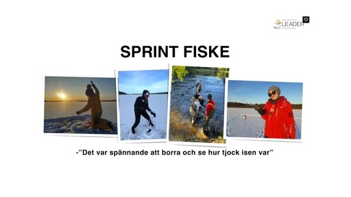 Film - SPRINT Fiske