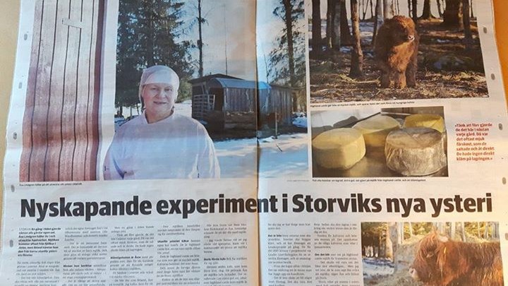 ARtikel om Åsas ost i Gästriklands tidning den 27 januari 2017