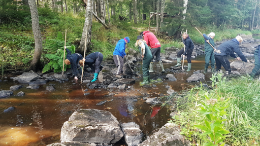 FISKE - utlysning! Pengar finns att söka