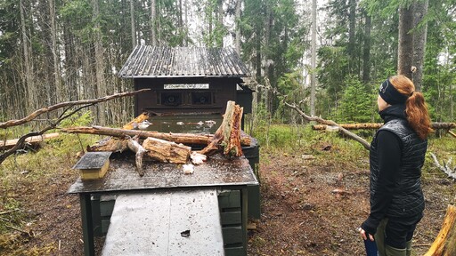 10 oktober Hållbart skogsbruk kl 16.30